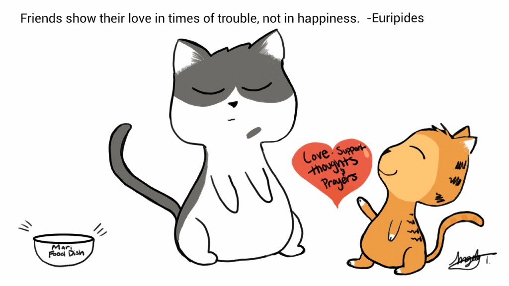 Friends show their love in times of trouble, not in happiness. - Euripides